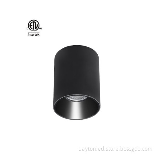 Daytonled Master D IP65 Series Commercial Cylinder Downlight